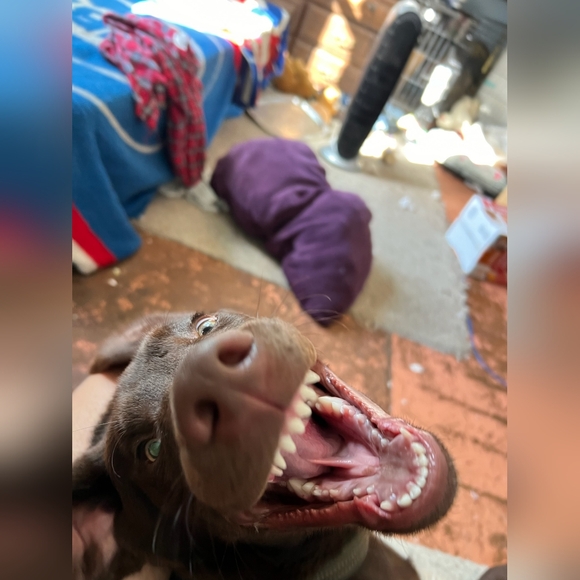 Meet your Posher, Sarah - Picture 11 of 11